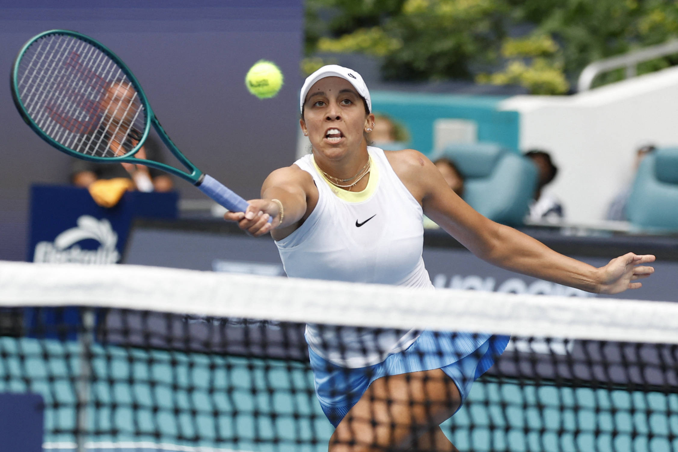 期的骨干 期的骨干